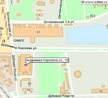 365 дней